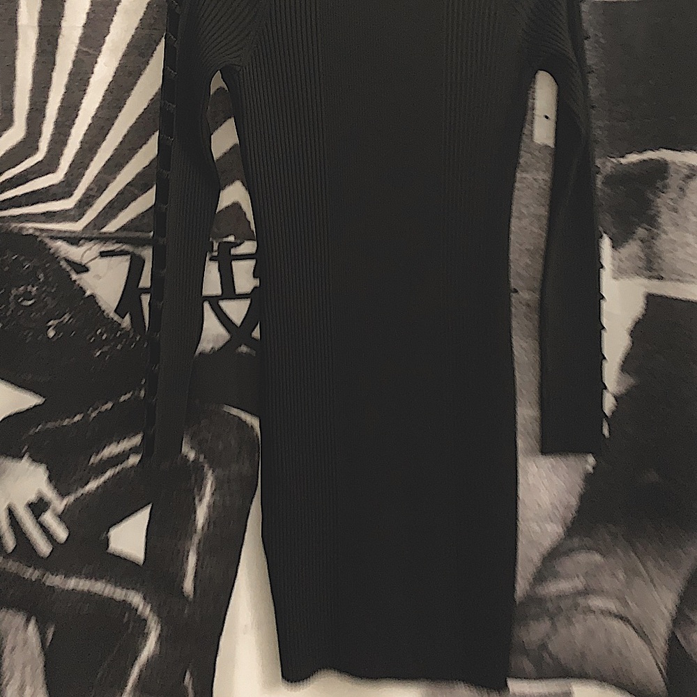 Alexander Wang Dress